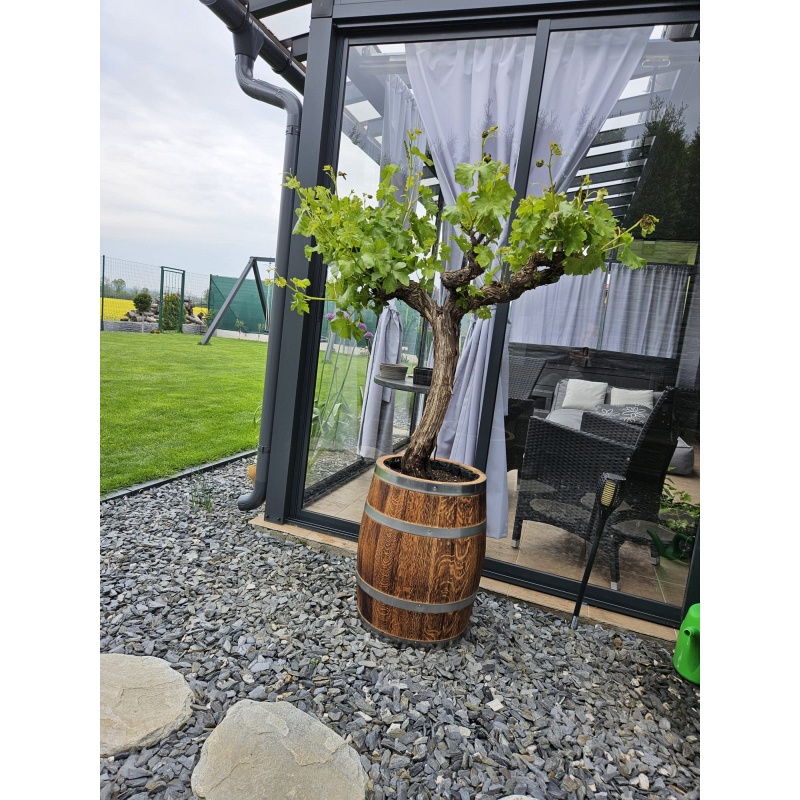 Pot de fleurs en fût de chêne (50L)